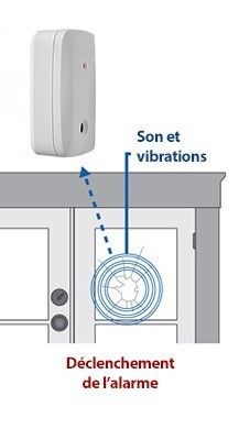 Description Paradox G550